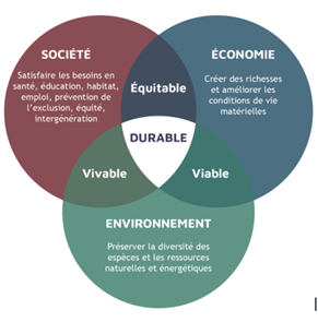 Schéma des 3 piliers du développement durable en entreprise