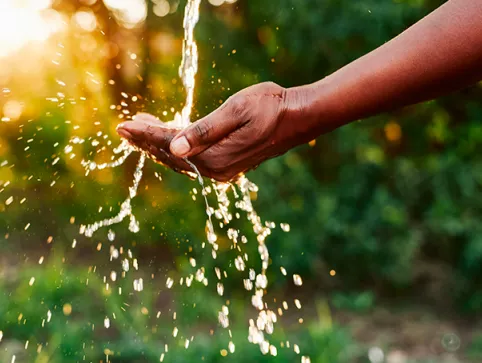  3 entreprises engagées pour économiser l’eau 