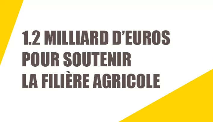 filiere agricole