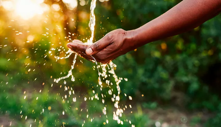  3 entreprises engagées pour économiser l’eau 